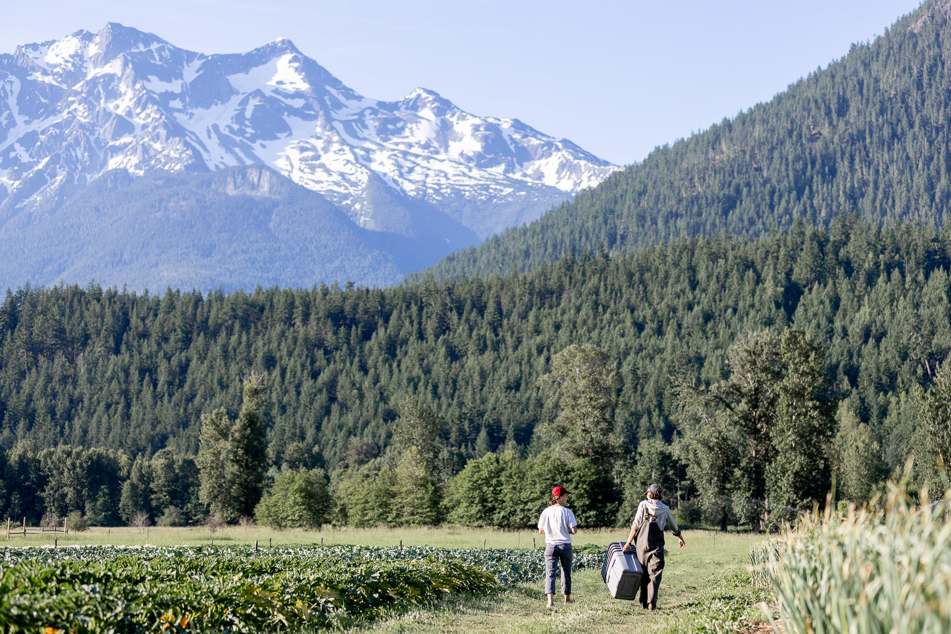 Pemberton_Farm_Photographer_Plenty_Wild_Mount_Currie